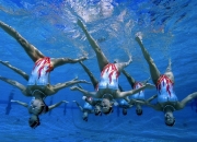 莱万多夫斯基迎来三赛季出色发挥，加拿大队观众热烈欢呼！比赛高潮迭起